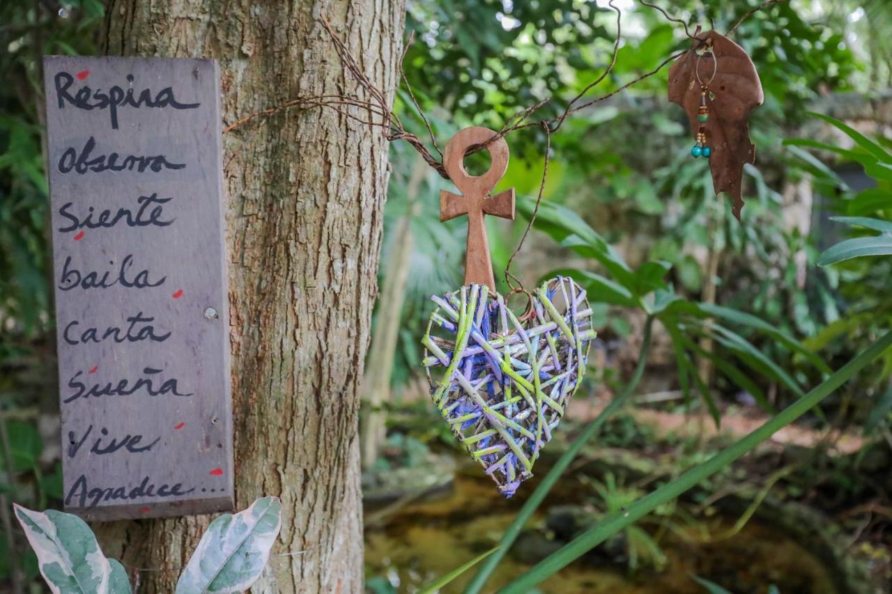 Guest House La Aldea Holistic Experience Cancun Ngoại thất bức ảnh