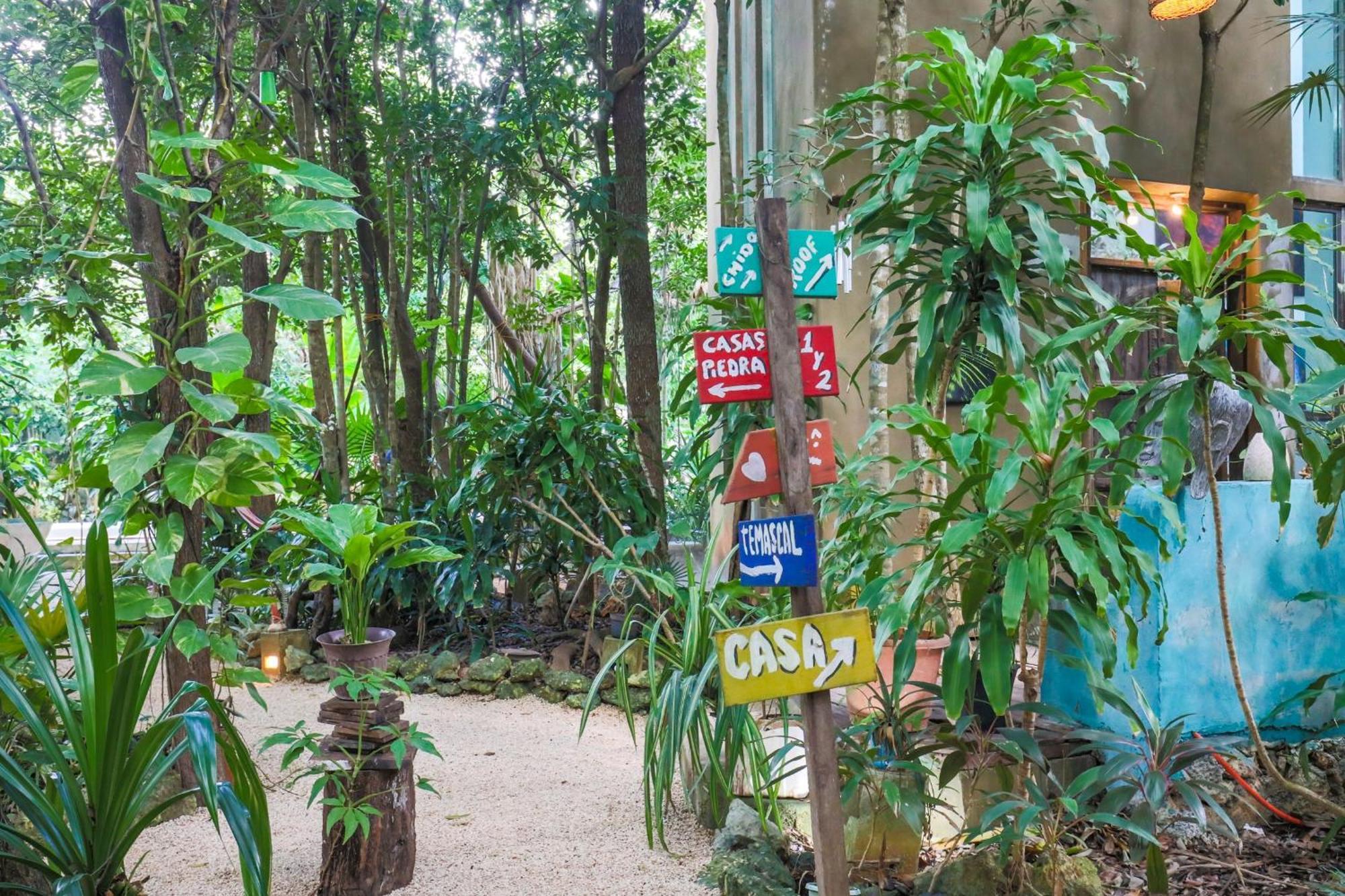 Guest House La Aldea Holistic Experience Cancun Ngoại thất bức ảnh