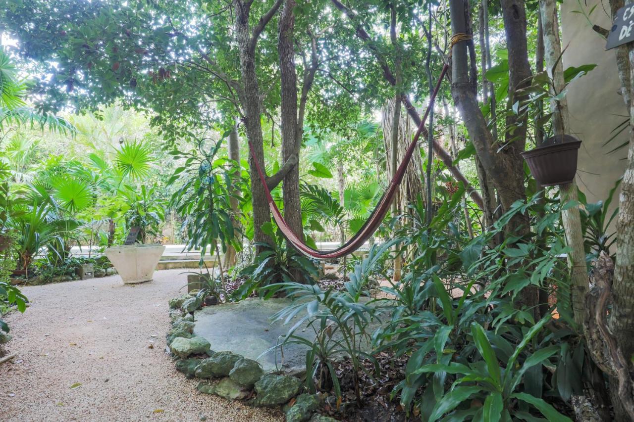 Guest House La Aldea Holistic Experience Cancun Ngoại thất bức ảnh