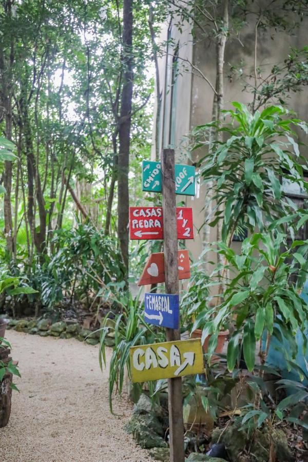 Guest House La Aldea Holistic Experience Cancun Ngoại thất bức ảnh